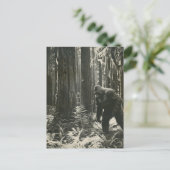 森のサスカッチ白黒ヴィンテージ ポストカード (スタンド正面)
