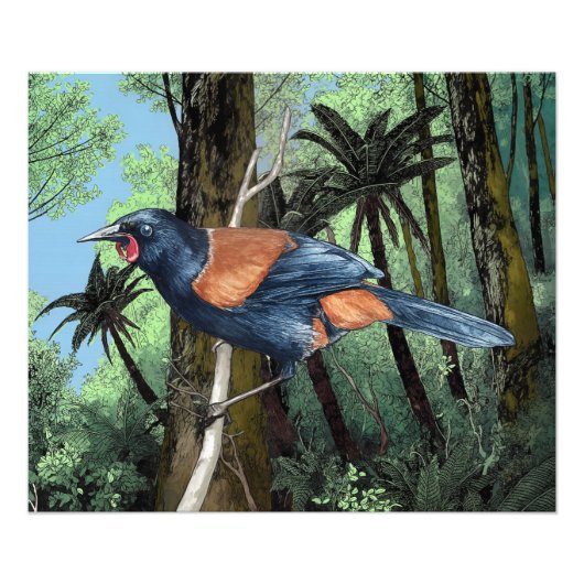 森のサドルバック鳥 フォトプリント            (正面)