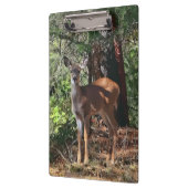 森のシカ クリップボード (左)