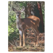 森のシカ クリップボード (裏面)