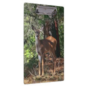 森のシカ クリップボード (右)