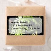 森のシダ ラベル (インサイチュ)