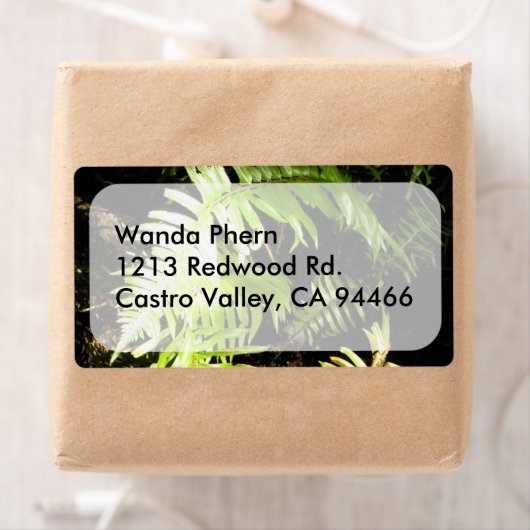 森のシダ ラベル (インサイチュ)