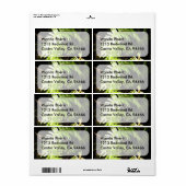 森のシダ ラベル (フルシート)