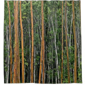 森のシャワーカーテン シャワーカーテン (正面)