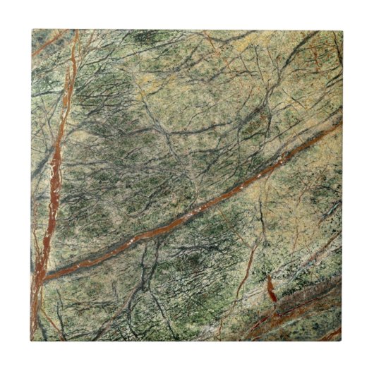 森のジャングル タイル (正面)