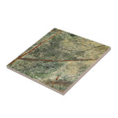 森のジャングル タイル (側面)