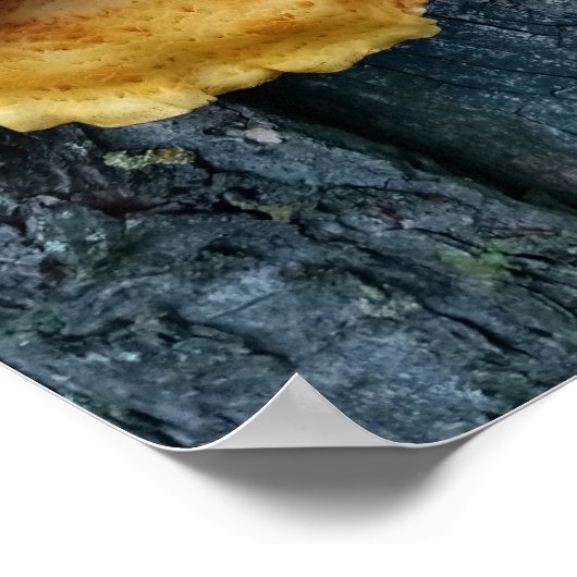 森のチキン ポスター (角)