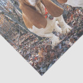 森のティッシュペーパーのバセットハウンド 薄葉紙 (詳細)