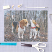 森のティッシュペーパーのビーグル犬の子犬 薄葉紙 (クラフト)