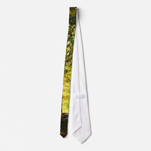 森のネクタイの道 ネクタイ (裏面)