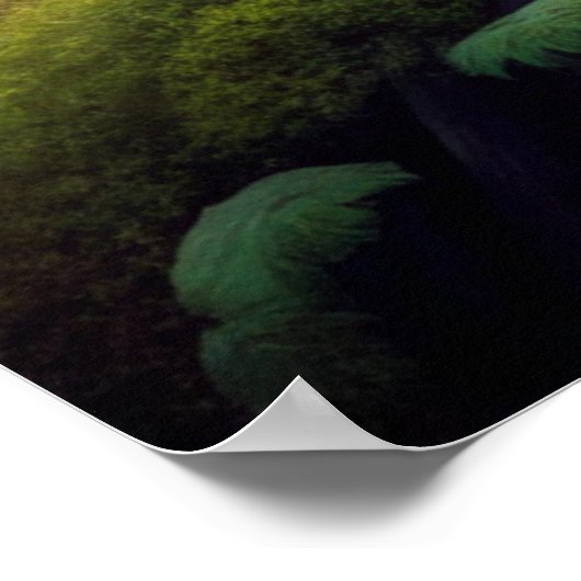 森のフクロウ ポスター (角)