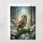 森のフクロウ ポストカード (正面/裏面)