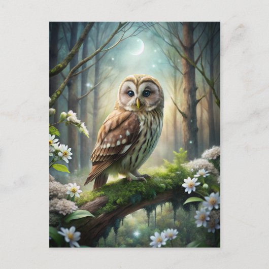 森のフクロウ ポストカード (正面)