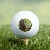 森のブナの木（ウッドランド） (Paul Ranson) ゴルフボール (インサイチュ 木)