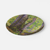 森のブナの木（ウッドランド） (Paul Ranson) ペーパープレート (アングル)