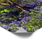 森のブルーベルポスター ポスター (角)