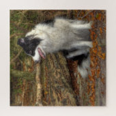 森のボーダーコリー 676ピース ジグソーパズル (縦)