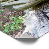 森のポスターの中で休む場所 ポスター (角)