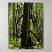 森のポスター ポスター (正面)