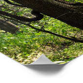 森のポスター ポスター (角)