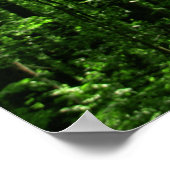 森のポスター#6182 ポスター (角)