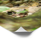 森のリス ポスター (コーナー)