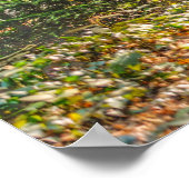 森の上からの光 ポスター (角)