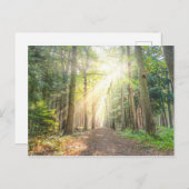 森の上からの光 ポストカード (正面/裏面)