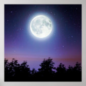 森の上の月 ポスター (正面)