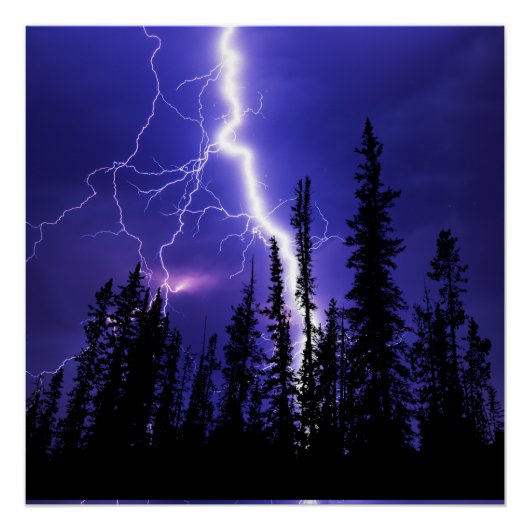 森の上の美しい雷 ポスター (正面)