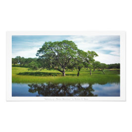 「森の不思議の国の反射」自然・デコール フォトプリント           