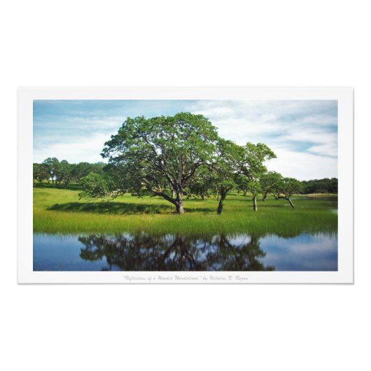 「森の不思議の国の反射」自然・デコール フォトプリント            (正面)