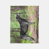 森の中でポーズをとる黒いアイルランドのウルフハウンド フリースブランケット (正面)