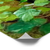 森の中で子どもを産む母クマ ポスター (角)