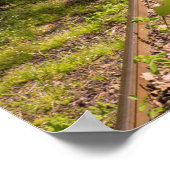 森の中で廃線になった鉄道 ポスター (角)