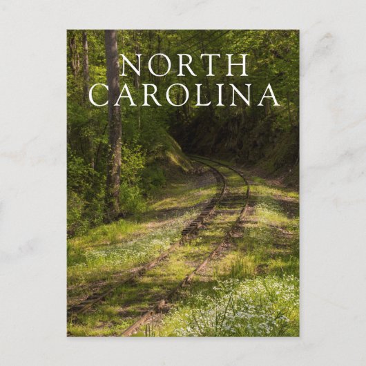 森の中で廃線になった鉄道 ポストカード (正面)