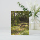 森の中で廃線になった鉄道 ポストカード (スタンド正面)