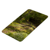 森の中で廃線になった鉄道 マグネット (左側)