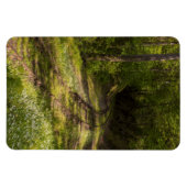 森の中で廃線になった鉄道 マグネット (横)