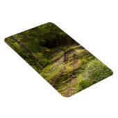 森の中で廃線になった鉄道 マグネット (右側)