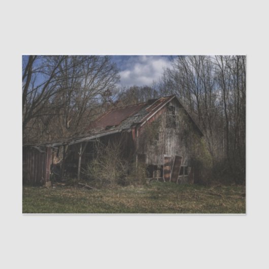 森の中で朽ち果てた廃材木庫 薄葉紙 (正面)