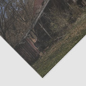 森の中で朽ち果てた廃材木庫 薄葉紙 (詳細)