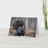 森の中で生い茂る東の野生の七面鳥 シーズンカード (正面)