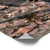 森の中で生い茂る東の野生の七面鳥 ポスター (角)