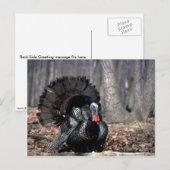 森の中で生い茂る東の野生の七面鳥 ポストカード (正面/裏面)