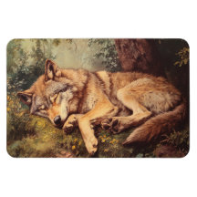 森の中で眠っている狼