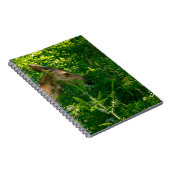 森の中で鹿を食べる。 ノートブック (右側)