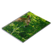 森の中で鹿を食べる。 ノートブック (左側)