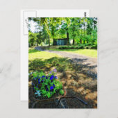 森の中で ポストカード (正面/裏面)